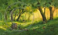 15- La forêt magique